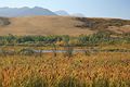 Beim Nordeingang vom Waterton Lakes Nationalpark