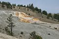 Mammoth Hot Springs - Lower Terraces Area