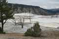 Mammoth Hot Springs - Lower Terraces Area