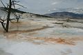 Mammoth Hot Springs - Lower Terraces Area