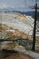 Mammoth Hot Springs - Lower Terraces Area