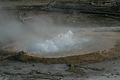 Norris Geyser Basin