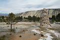 Mammoth Hot Springs - Lower Terraces Area