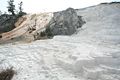 Mammoth Hot Springs - Lower Terraces Area