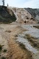 Mammoth Hot Springs - Lower Terraces Area