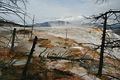 Mammoth Hot Springs - Lower Terraces Area