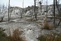 Mammoth Hot Springs - Upper Terraces Area