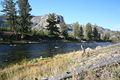 Madison River