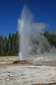 Pink Cone Geyser