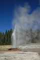 Pink Cone Geyser