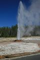 Pink Cone Geyser