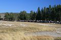 beim Old Faithful Geyser