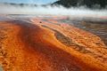 Midway Geyser Basin - Grand Prismatic Spring