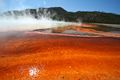 Midway Geyser Basin - Grand Prismatic Spring