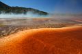 Midway Geyser Basin - Grand Prismatic Spring