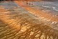 Midway Geyser Basin - Grand Prismatic Spring