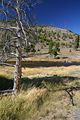 Midway Geyser Basin - Firehole River
