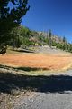 Midway Geyser Basin