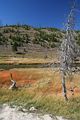 Midway Geyser Basin