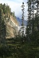 Wapta Falls