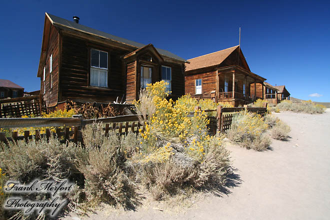 Bodie