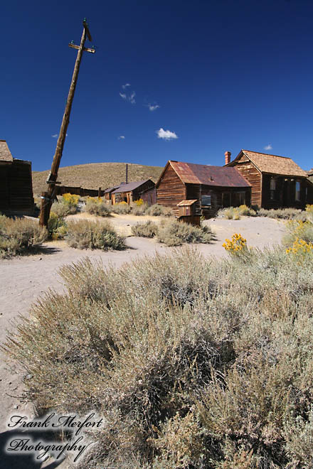 Bodie