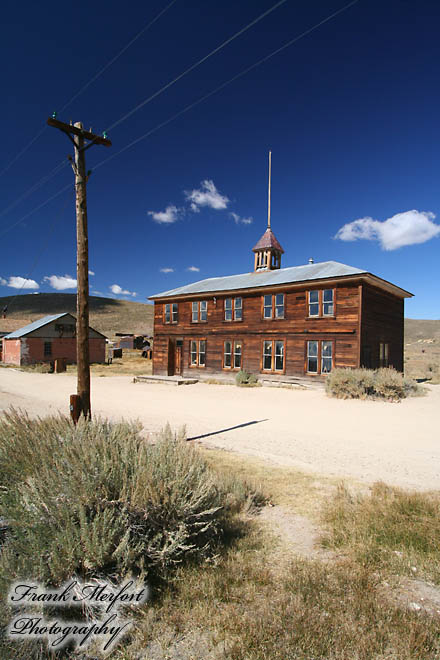 Bodie