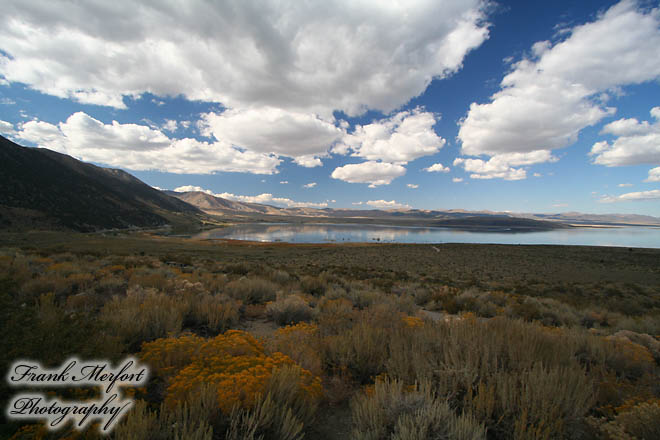 Mono Lake