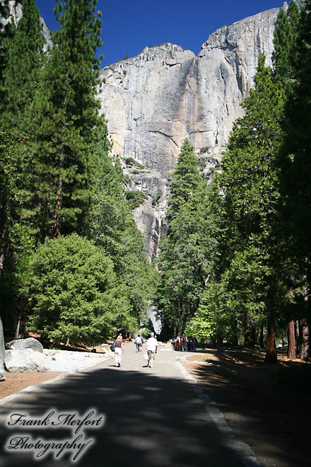 Lower Yosemite Fall