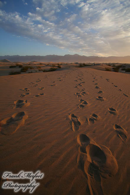 Sonnenaufgang bei den Sanddünen von Stovepipe Wells