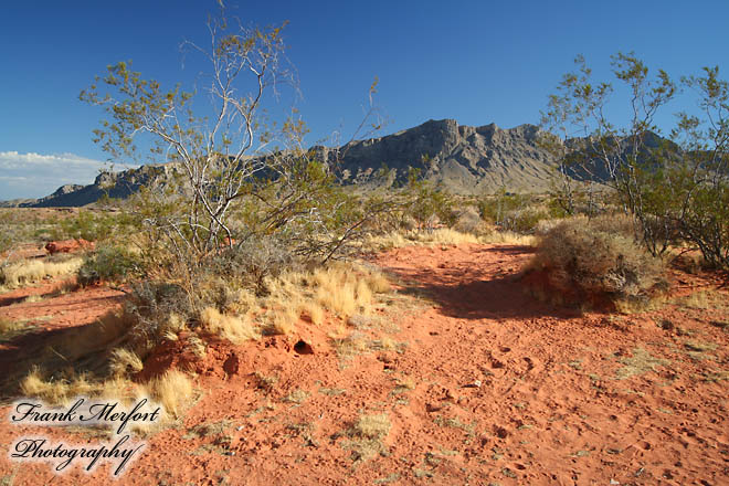 Valley of Fire - Seven Sisters