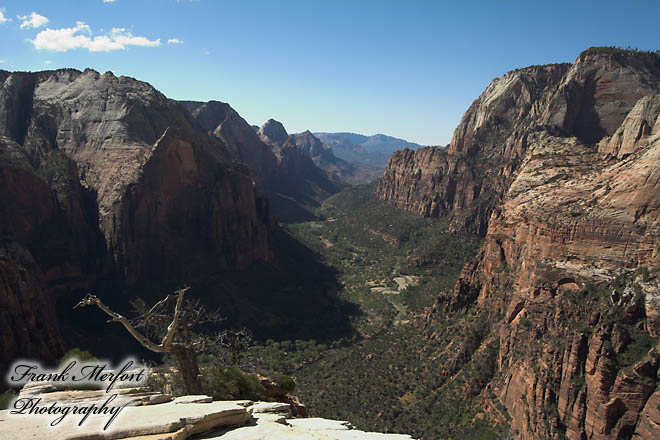 Angels Landing