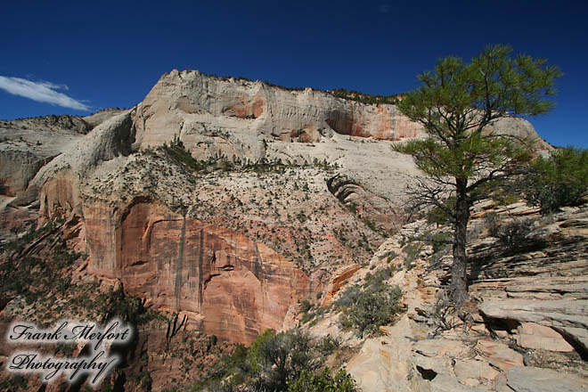 Angels Landing