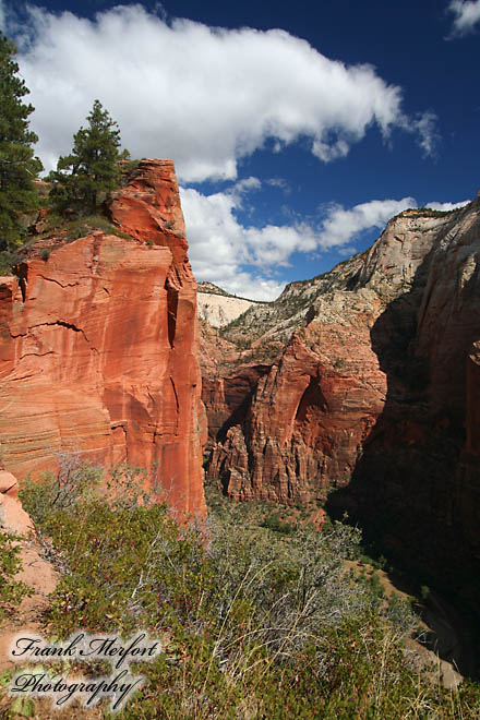 Angels Landing