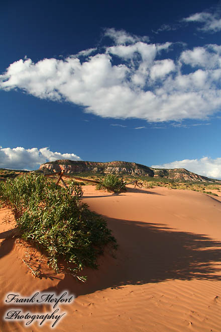 Coral Pink Sand Dunes