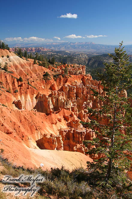 Ponderosa Canyon