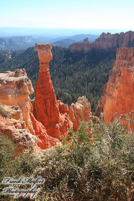 Agua Canyon