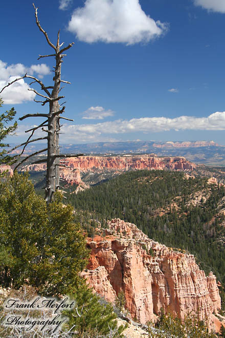 Farview Point