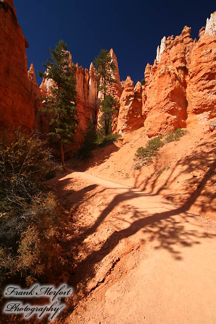 Navajo Trail