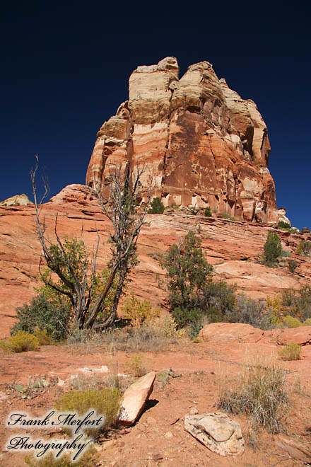 Auf dem Trail zu den Lower Calf Creek Falls