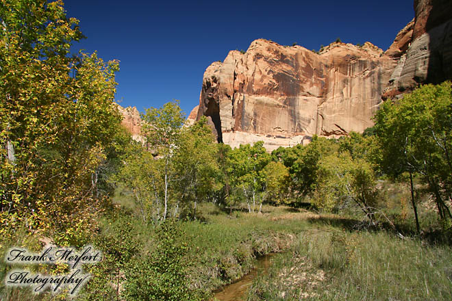 Auf dem Trail zu den Lower Calf Creek Falls