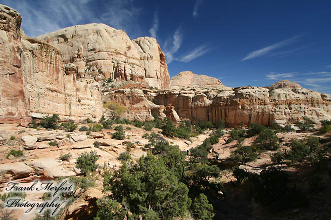Hickman Bridge Trail
