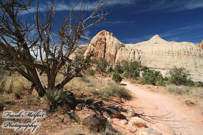Hickman Bridge Trail
