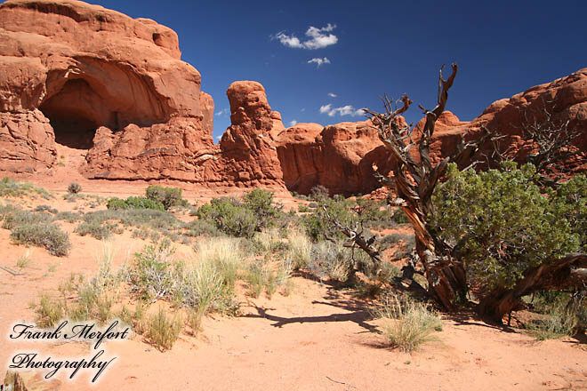 Trail zurück vom Double Arch