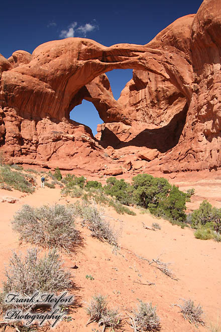 Double Arch