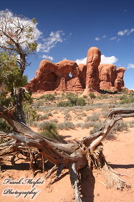 Trail zurück vom Double Arch
