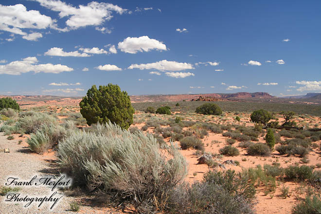 Panorama Point
