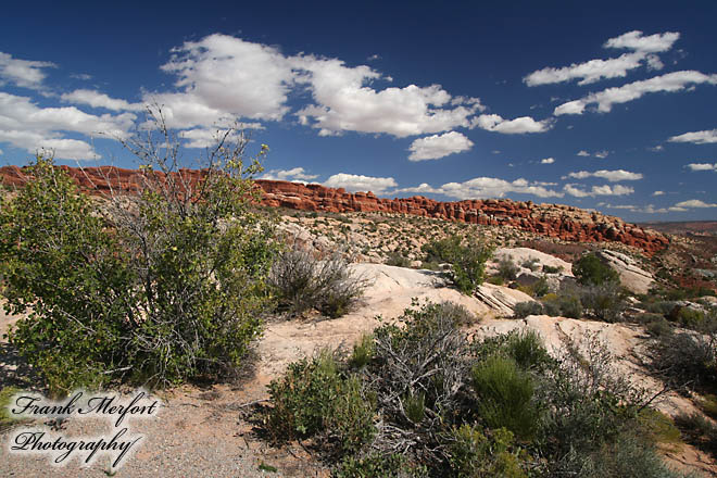Salt Valley Overlook