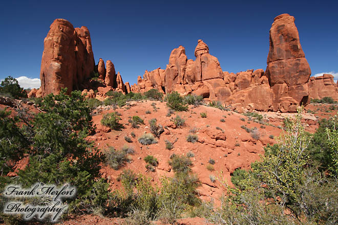 Kurz vor dem Devils Garden