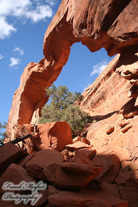 Wall Arch